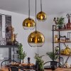Koyoto  Pendant Light glass 20 cm, 25 cm, 30cm gold, clear, 3-light sources