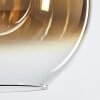 Koyoto  Pendant Light glass 15 cm, 20 cm, 25 cm, 30cm gold, clear, 5-light sources