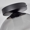 Koyoto  Ceiling Light glass 20 cm clear, Smoke-coloured, 1-light source