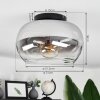 Molloy Ceiling Light clear, Smoke-coloured, 1-light source