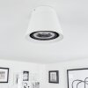 Especiosa Ceiling Light white, 1-light source