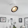 Especiosa Ceiling Light white, 1-light source
