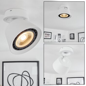 Especiosa Ceiling Light white, 1-light source