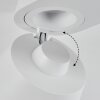 Especiosa Ceiling Light white, 2-light sources