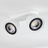 Especiosa Ceiling Light white, 2-light sources