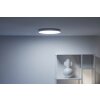 Philips WiZ Rune Ceiling Light LED white, 1-light source, Colour changer