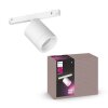 Philips Hue Perifo spot LED white, 1-light source, Colour changer