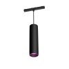Philips Hue Perifo pendulum LED black, 1-light source, Colour changer