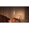 Philips Hue Perifo pendulum LED white, 1-light source, Colour changer