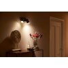 Philips Hue Fugato Ceiling Light LED black, 2-light sources, Colour changer
