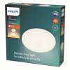 Philips Mauve Ceiling Light LED white, 1-light source, Motion sensor