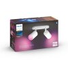 Philips Hue Fugato Ceiling Light LED white, 2-light sources, Colour changer