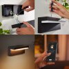 Philips Hue Nyro Outdoor Wall Light LED black, 1-light source, Colour changer