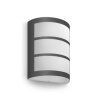 Philips Python Outdoor Wall Light LED anthracite, 1-light source
