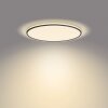 Philips Ozziet Ceiling Light LED black, white, 1-light source