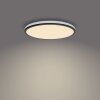 Philips Ozziet Ceiling Light LED black, white, 1-light source