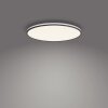 Philips Ozziet Ceiling Light LED black, white, 1-light source