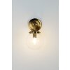 Holländer MOLTIPLICATORE Wall Light gold, brass, 1-light source