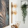Rascoupet Wall Light gold, 2-light sources