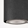 Javel Pendant Light black, 6-light sources