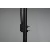 Trio Burton Floor Lamp black, 2-light sources