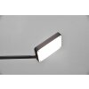 Trio Pavia Floor Lamp LED black, 1-light source