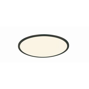 Trio Phoenix Ceiling Light LED black, white, 1-light source