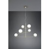 Trio Pure Pendant Light brass, 6-light sources
