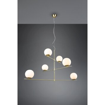 Trio Pure Pendant Light brass, 6-light sources