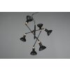 Trio Roxie Pendant Light brass, black, 6-light sources