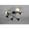 Trio Roxie Ceiling Light black, 6-light sources