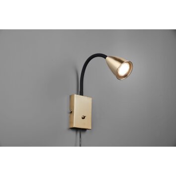 Trio Wanda Wall Light brass, 1-light source