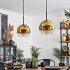 Koyoto  Pendant Light glass 25 cm gold, clear, 2-light sources