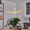 Zibreira Pendant Light LED black, 1-light source, Remote control