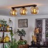 Koyoto  Ceiling Light glass 20 cm Amber, 3-light sources