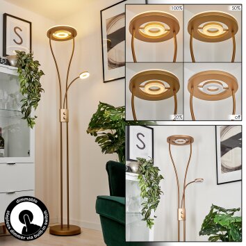 Kimba UpLighter LED gold, 3-light sources