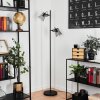 Trajouca Floor Lamp black, 2-light sources