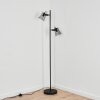 Trajouca Floor Lamp black, 2-light sources