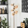Chehalis Floor Lamp LED brass, black, 6-light sources