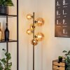 Chehalis Floor Lamp LED brass, black, 6-light sources