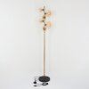 Chehalis Floor Lamp LED brass, black, 6-light sources