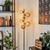 Chehalis Floor Lamp LED brass, black, 6-light sources