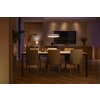 Philips Hue Enrave Pendant Light LED white, 1-light source, Remote control
