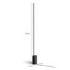 Philips Hue Gradient Signe Floor Lamp LED black, 1-light source
