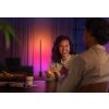 Philips Hue Gradient Signe Floor Lamp LED black, 1-light source