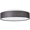 Brilliant Penley Ceiling Light LED white, 1-light source, Remote control