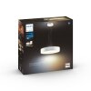 Philips Hue Fair Pendant Light LED white, 1-light source, Remote control