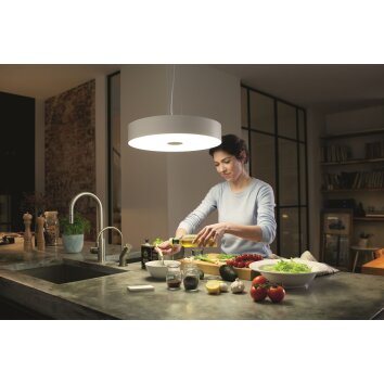 Philips Hue Fair Pendant Light LED white, 1-light source, Remote control