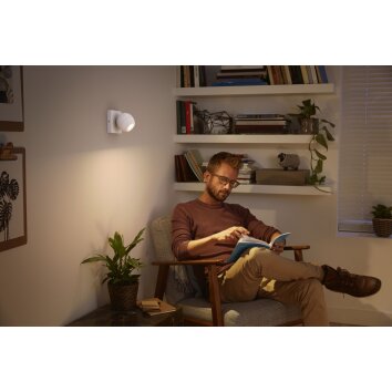 Philips Hue Buckram Ceiling Light LED white, 1-light source, Remote control