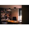 Philips Hue Pillar Ceiling Light LED black, 2-light sources, Remote control